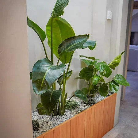 Balinaise - Centre-ville - Climatise Apartment Épinal